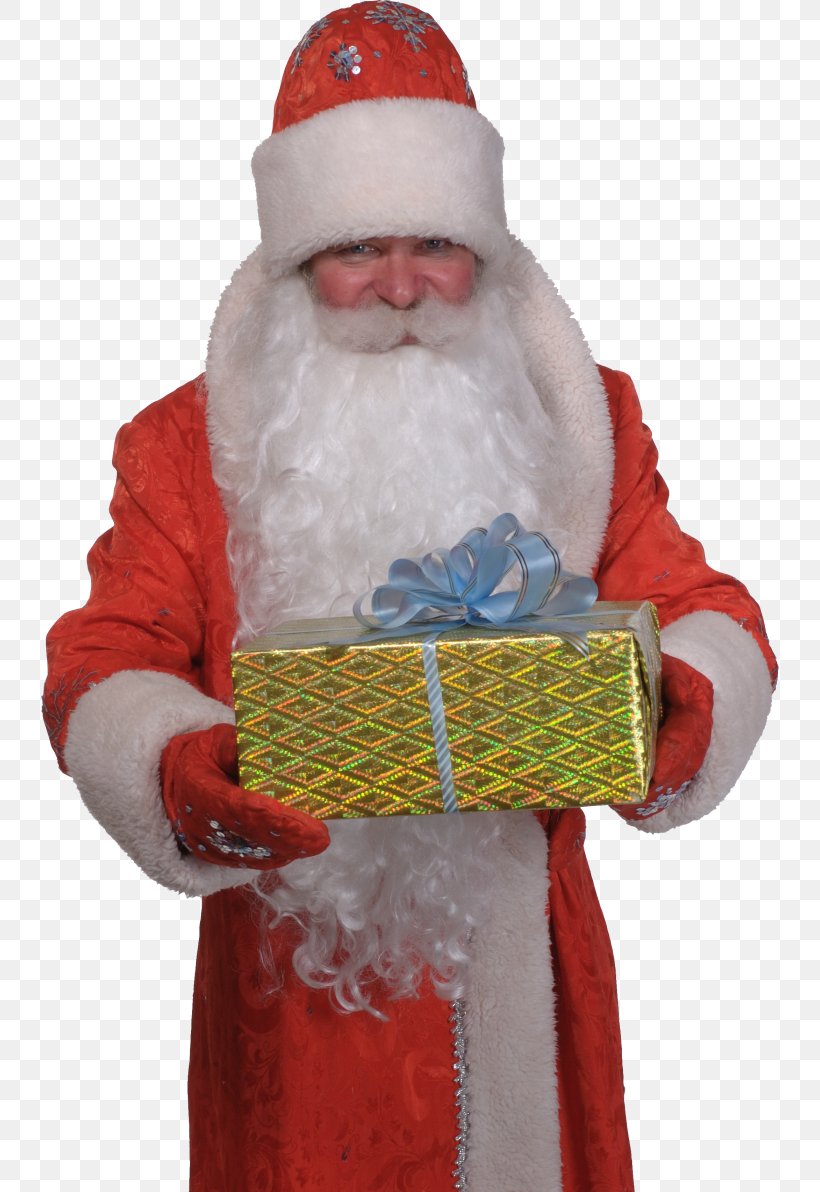 Santa Claus Ded Moroz Snegurochka Christmas Ornament New Year, PNG, 738x1192px, Santa Claus, Animaatio, Chord, Christmas, Christmas Ornament Download Free