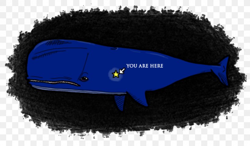 Shoe Fish, PNG, 864x504px, Shoe, Black, Blue, Electric Blue, Fish Download Free