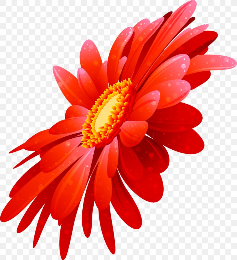 Transvaal Daisy Cut Flowers Chrysanthemum Clip Art, PNG, 1095x1200px, Transvaal Daisy, Chrysanthemum, Chrysanths, Cut Flowers, Daisy Download Free