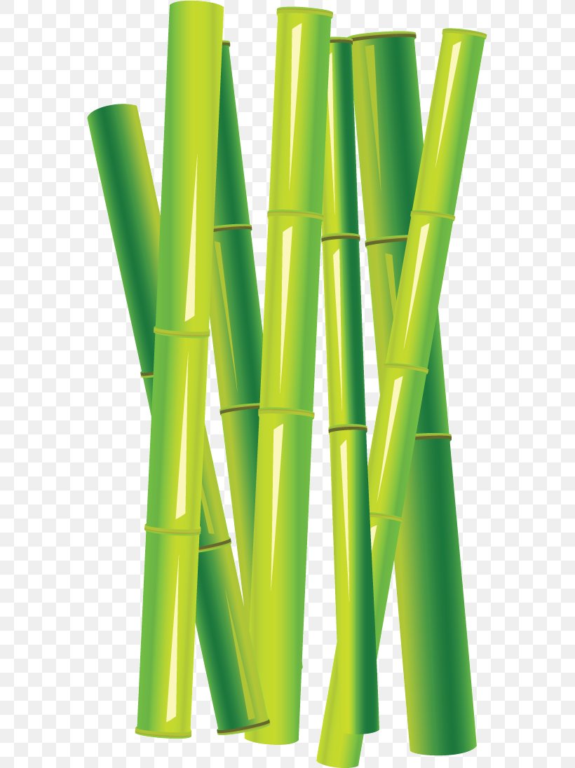 Tropical Woody Bamboos （株）丸山喜之助商店, PNG, 571x1096px, Tropical Woody Bamboos, Grass, Green, Phyllostachys, Phyllostachys Edulis Download Free