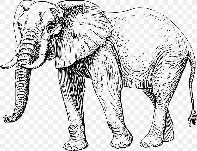 Asian Elephant African Elephant Elephantidae Drawing Clip Art, PNG, 2400x1847px, Asian Elephant, African Elephant, Animal Figure, Big Cats, Black And White Download Free