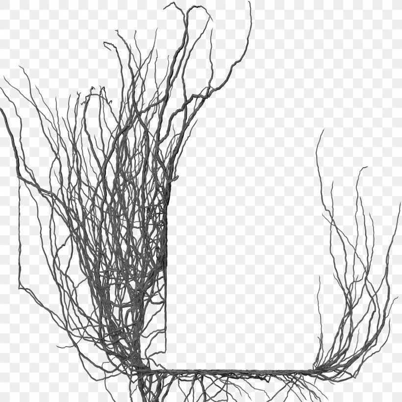 Branch Picture Frame DeviantArt Tree, PNG, 2000x2000px, Branch, Art, Black And White, Deviantart, Digital Art Download Free