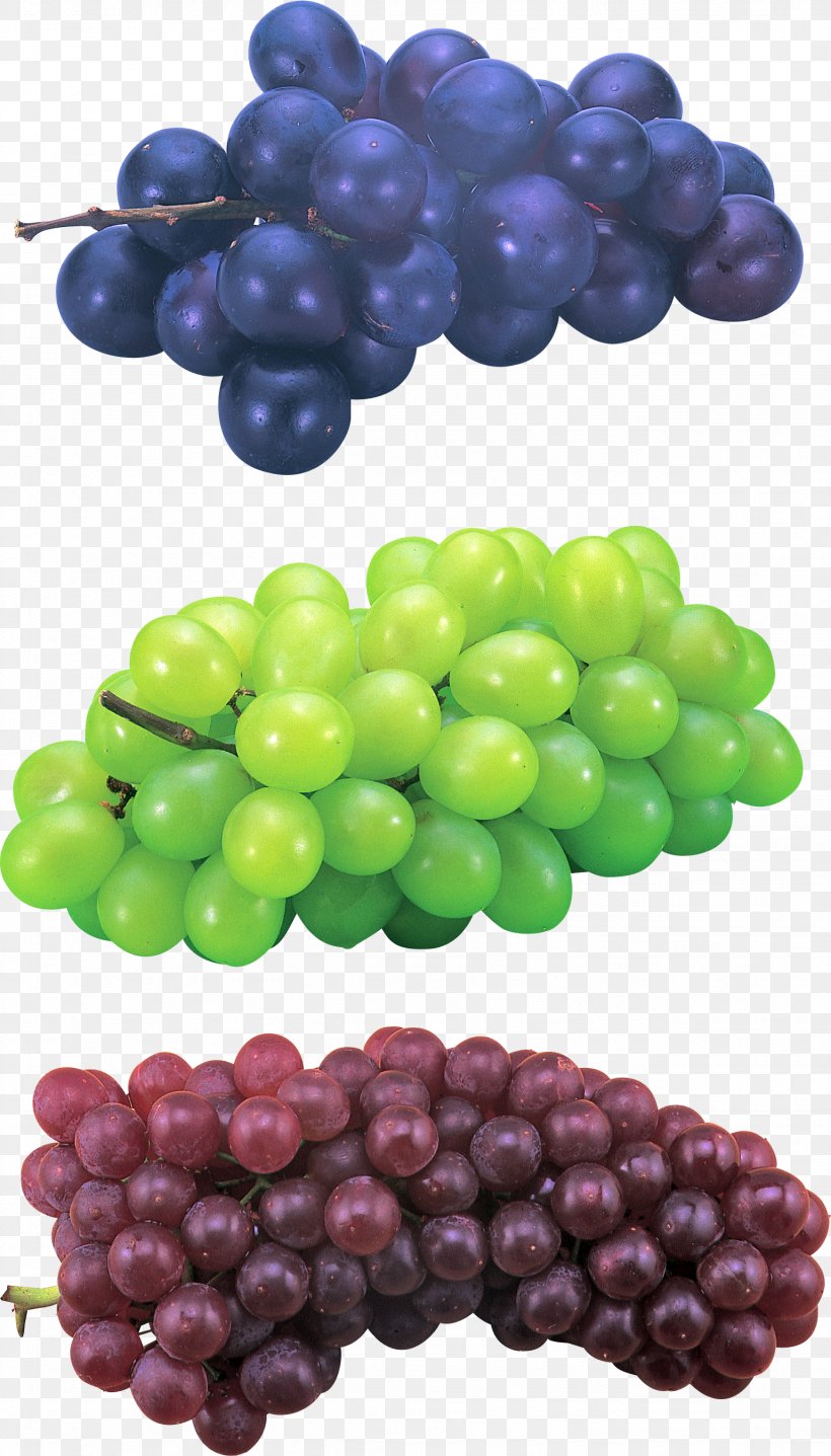 Grape Fruit Salad Food Vegetable, PNG, 1537x2694px, Grape, Auglis, Food, Fruit, Fruit Salad Download Free
