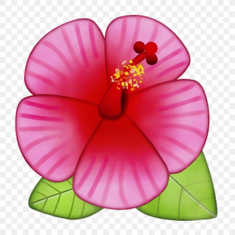 Petal Pink Flower Hibiscus Hawaiian Hibiscus, PNG, 1024x1024px, Watercolor, Chinese Hibiscus, Flower, Flowering Plant, Hawaiian Hibiscus Download Free