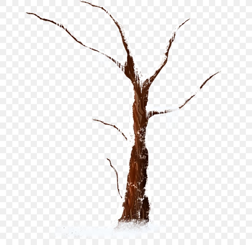 Winter Snow Tree Image, PNG, 651x800px, Winter, Branch, Drawing, Plant, Plant Stem Download Free