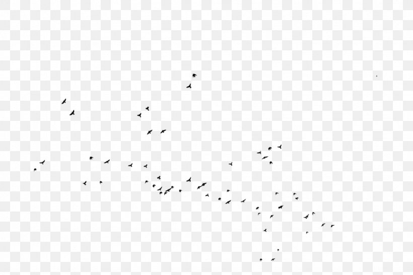 Bird Migration Silhouette Animal, PNG, 1024x683px, Bird, Animal, Animal Migration, Area, Bird Migration Download Free