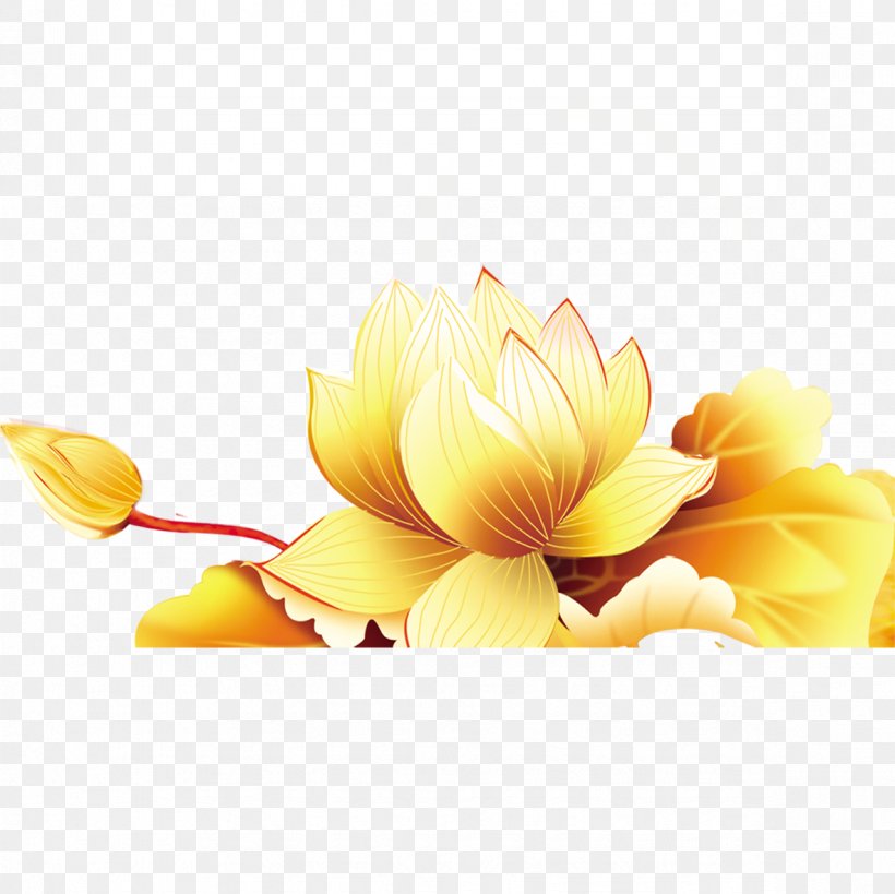 Nelumbo Nucifera Gold Red Tropaeolum Majus, PNG, 1181x1181px, Nelumbo Nucifera, Cut Flowers, Designer, Flower, Flowering Plant Download Free