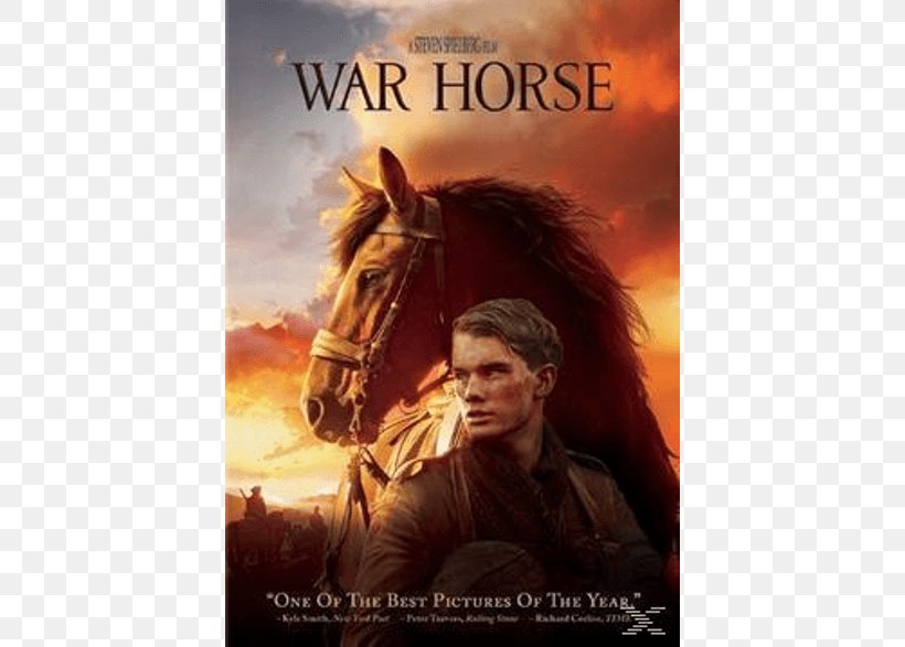 Horse Film Director DVD Cinema, PNG, 786x587px, Horse, Action Film, Album Cover, Cinema, Dvd Download Free