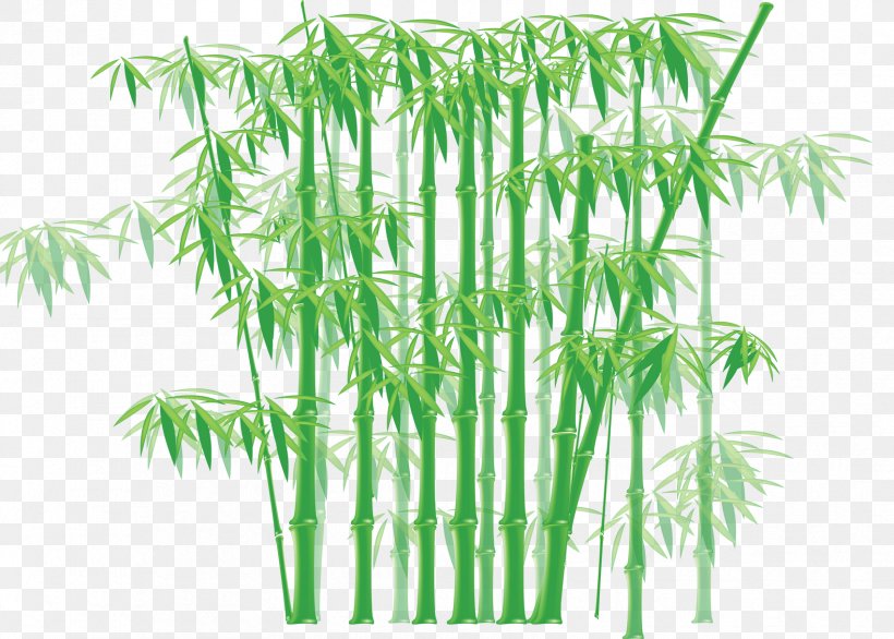 Bamboo Clip Art, PNG, 1701x1216px, Bamboo, Art, Cartoon, Flowerpot, Grass Download Free