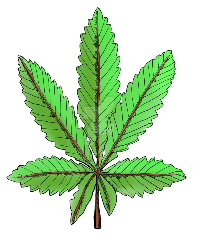 Cannabis Cannabaceae Hemp Tree Plant, PNG, 1024x1250px, Cannabis, Cannabaceae, Family, Flowerpot, Hemp Download Free