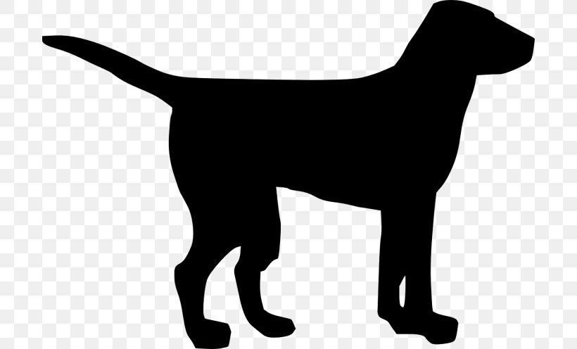 Clip Art Pug Labrador Retriever Golden Retriever Puppy, PNG, 700x496px, Pug, Black, Canidae, Carnivore, Dog Download Free