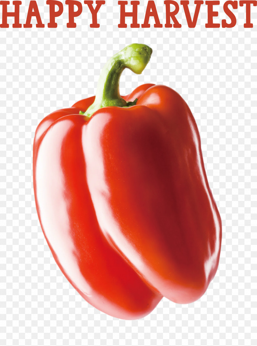 Happy Harvest Harvest Time, PNG, 2232x3000px, Happy Harvest, Bell Pepper, Cayenne Pepper, Chili Pepper, Habanero Download Free