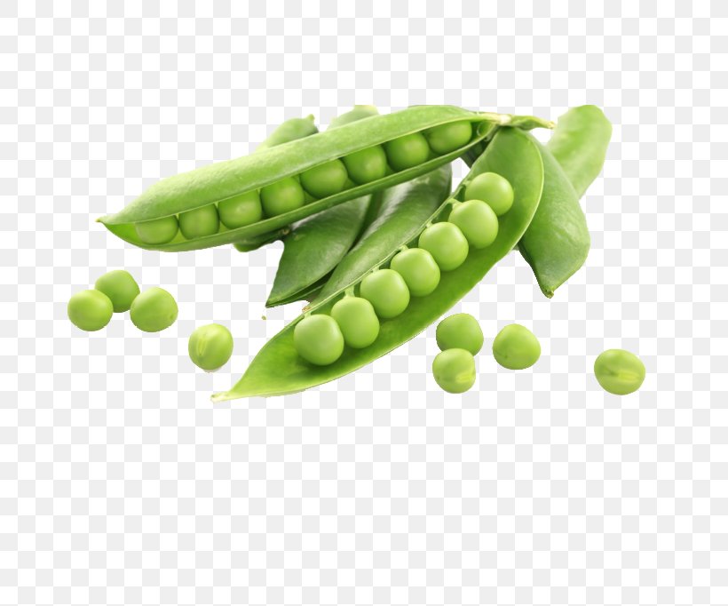 Pea Legume Snap Pea Snow Peas Green, PNG, 685x682px, Pea, Edamame, Green, Green Bean, Legume Download Free