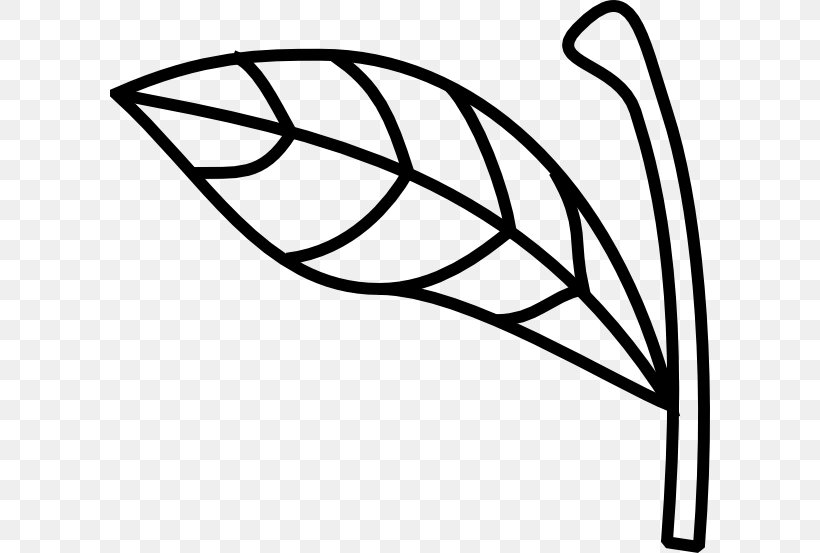 Plant Stem Leaf Clip Art, PNG, 600x553px, Plant Stem, Apple, Area, Black And White, Branch Download Free