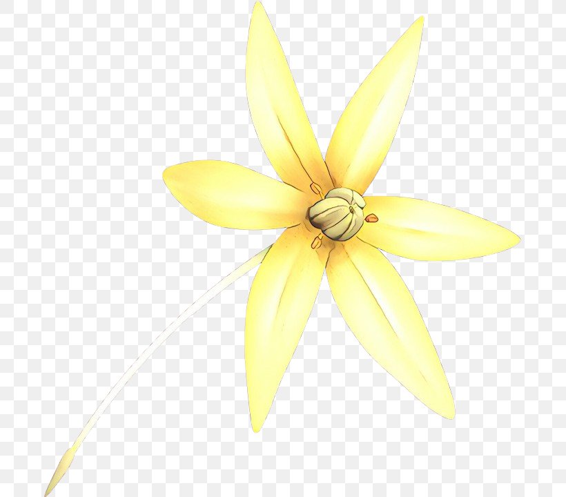 Flower White, PNG, 691x720px, Yellow, Flower, Petal, Plant, Wheel ...