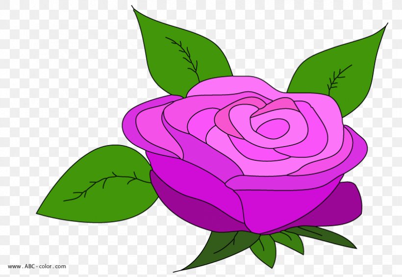 Garden Roses Hybrid Tea Rose Flower Clip Art, PNG, 822x567px, Garden Roses, Coloring Book, Drawing, Flora, Floral Design Download Free