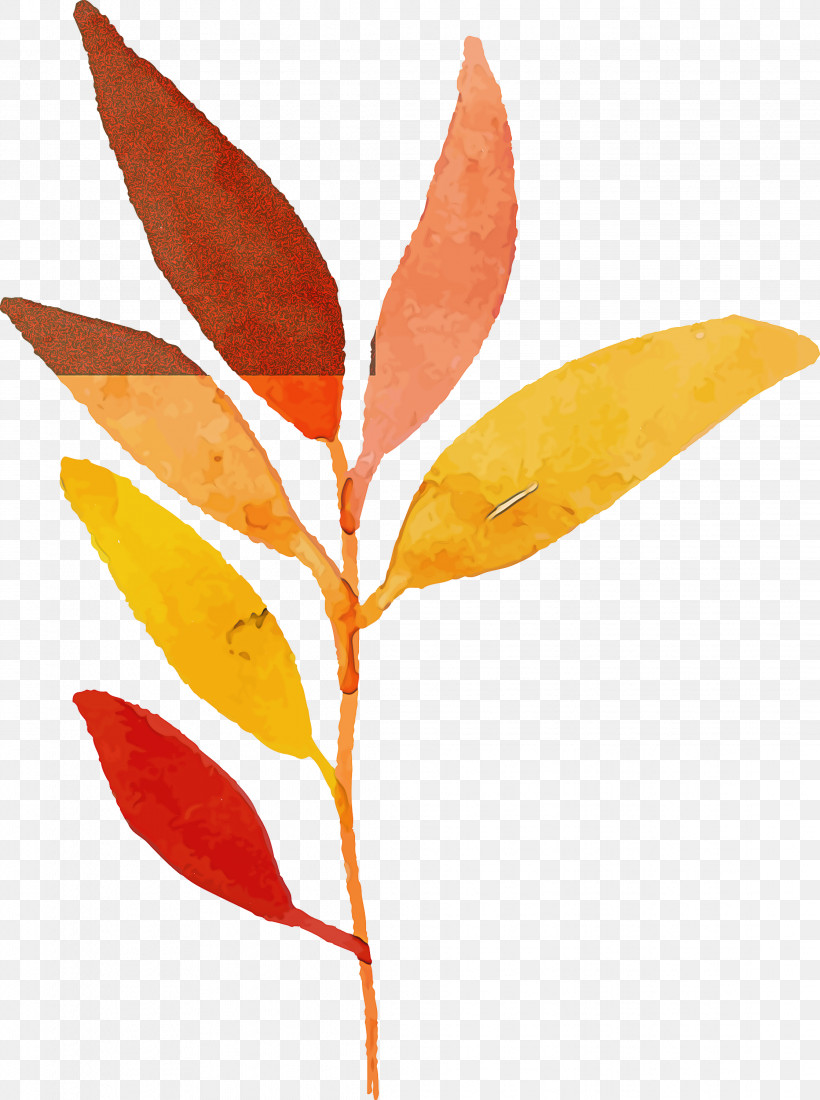 Leaf Plant Stem Branch Amphibians Tree, PNG, 2236x3000px, Watercolor Autumn, Amphibians, Autumn Leafautumn Leaf, Biology, Branch Download Free