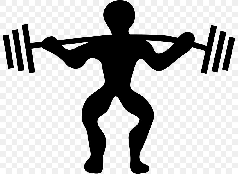 Weight Training Olympic Weightlifting Clip Art, PNG, 800x599px, Weight Training, Arm, Art, Barbell, Bench Download Free