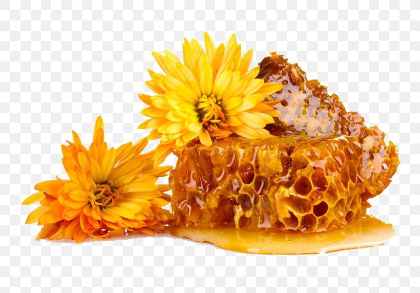 Beeswax Honeycomb Propolis Stock Photography, PNG, 800x572px, Bee, Beeswax, Calendula, Chrysanths, Cut Flowers Download Free