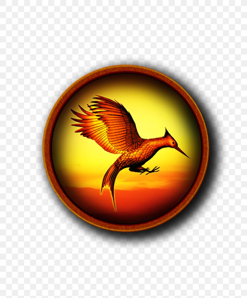 Catching Fire The Hunger Games, PNG, 809x987px, Catching Fire, Beak, Bird, Fire, Hunger Games Download Free