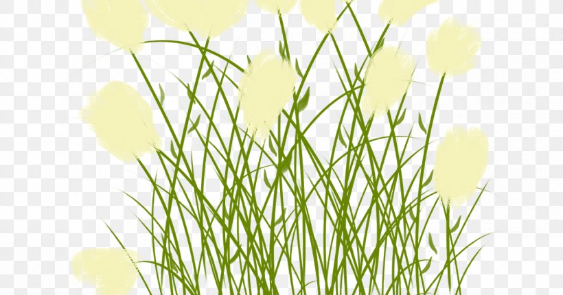 Flower Animation Clip Art, PNG, 1200x630px, Flower, Animation, Commodity, Drawing, Grass Download Free