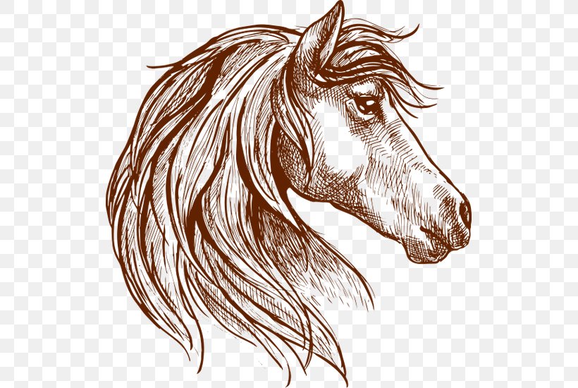 Horse Vector Graphics Drawing Mare Illustration, PNG, 519x550px, Horse, Artwork, Coloring Book, Drawing, Fictional Character Download Free