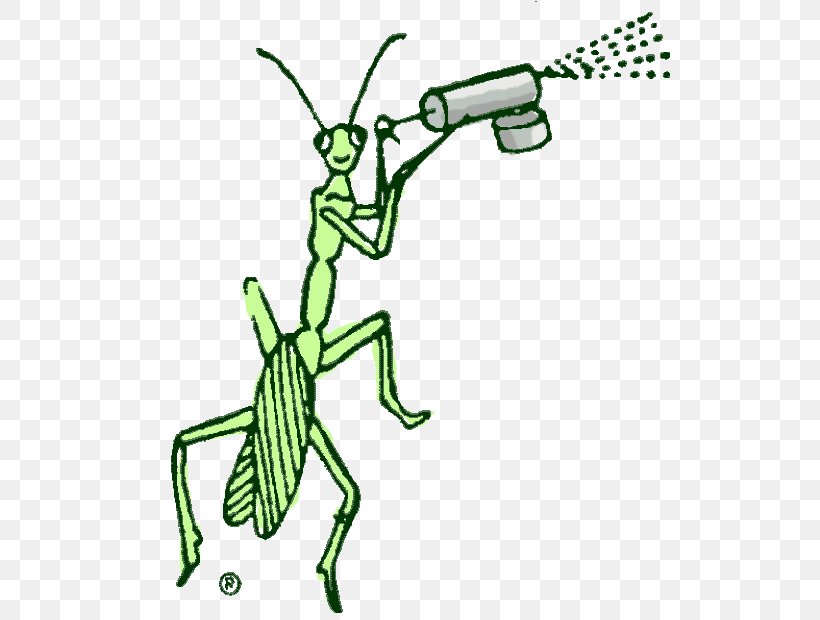 Insect Illustration Pest Cartoon Desktop Wallpaper, PNG, 541x620px, Insect, Art, Arthropod, Black, Black And White Download Free
