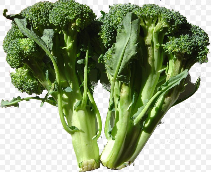 Broccoli Leaf Vegetable Nutrient Cruciferous Vegetables, PNG, 1600x1304px, Broccoli, Bell Pepper, Cabbage, Carrot, Cauliflower Download Free