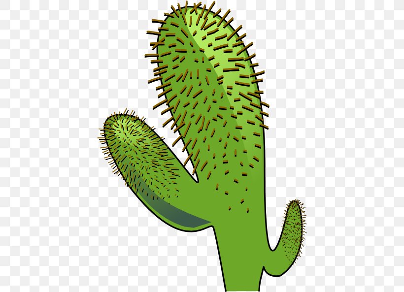 Cactaceae Saguaro Cactus Wren Clip Art, PNG, 426x593px, Cactaceae, Animation, Cactus, Cactus Wren, Cartoon Download Free