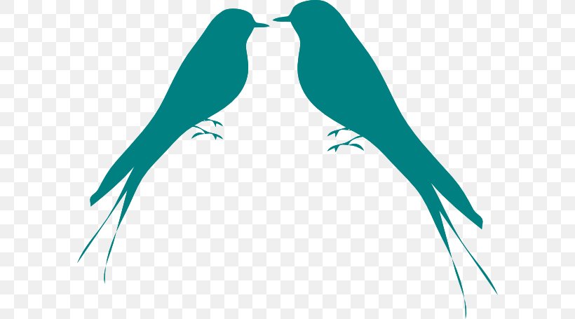 Lovebird Silhouette Clip Art, PNG, 600x455px, Bird, Art, Beak, Branch, Common Pet Parakeet Download Free