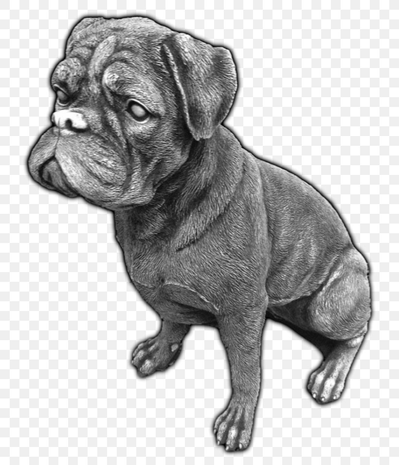 Toy Bulldog Dorset Olde Tyme Bulldogge Olde English Bulldogge Pug Bullmastiff, PNG, 768x957px, Toy Bulldog, Black And White, Boxer, Bulldog, Bulldog Breeds Download Free