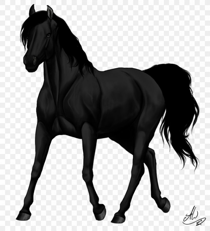 Arabian Horse Stallion Kerry Bog Pony Foal, PNG, 853x937px, Arabian Horse, Animal, Black, Black And White, Black Stallion Download Free
