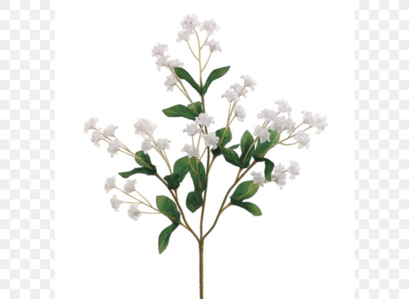 Artificial Flower Gypsophila Paniculata Flower Bouquet White, PNG, 800x600px, Flower, Artificial Flower, Blossom, Branch, Breathing Download Free