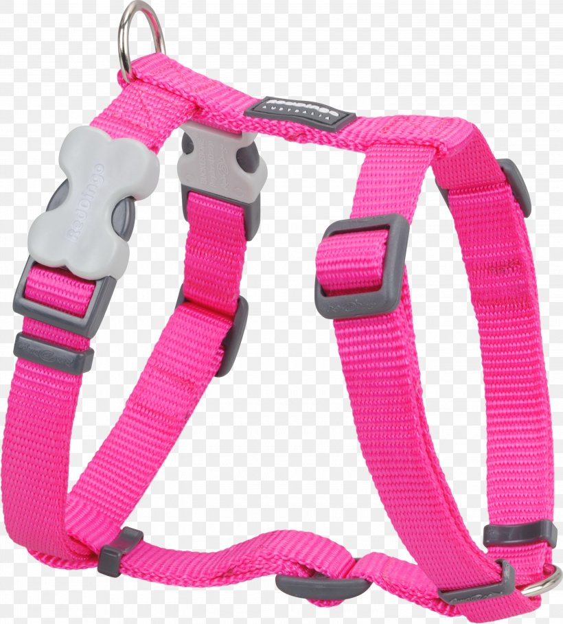 Dingo Dog Harness Puppy Dog Collar, PNG, 3000x3327px, Dingo, Collar, Dog, Dog Collar, Dog Harness Download Free