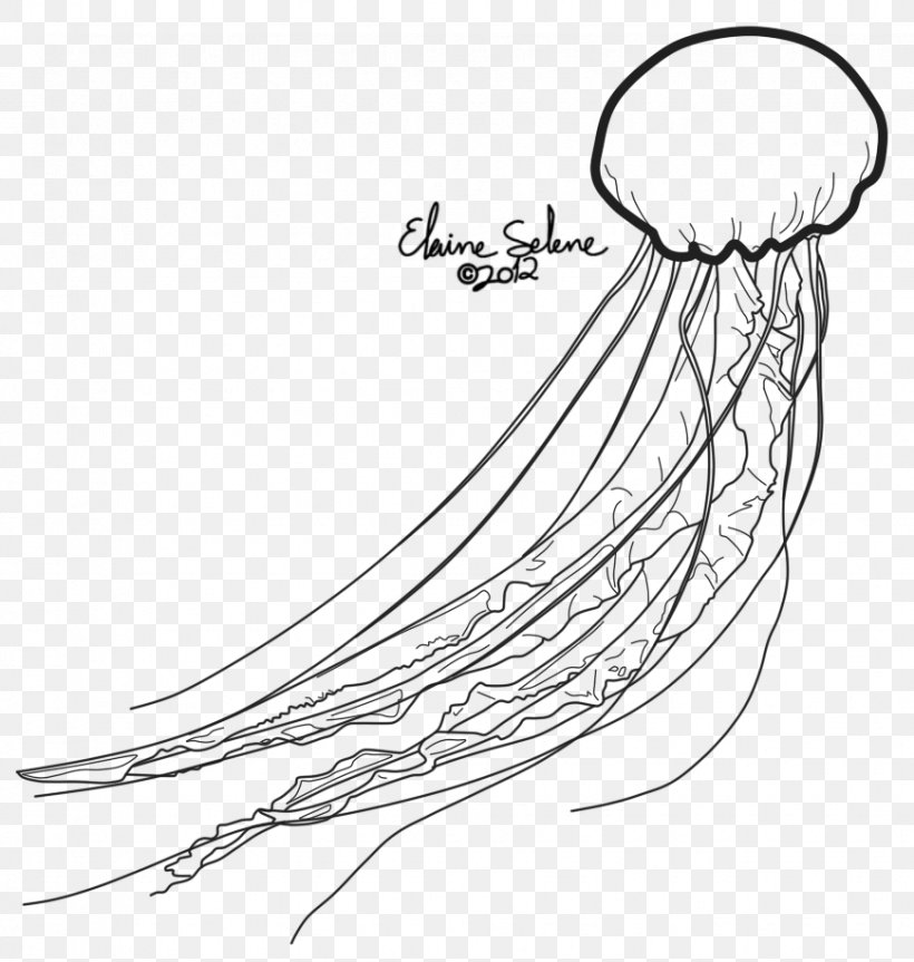 Jellyfish Line Art Drawing Invertebrate, PNG, 869x915px, Jellyfish, Animal,  Area, Arm, Art Download Free