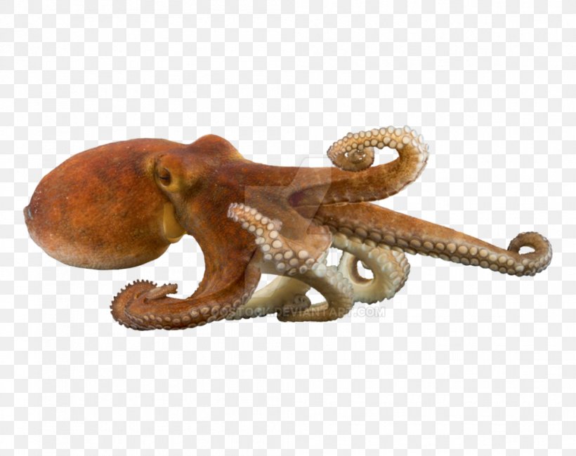Octopus Cartoon, PNG, 1003x796px, Octopus, Animal Figure, Elephant, Figurine, Giant Pacific Octopus Download Free