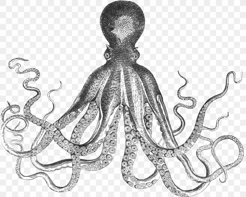 Octopus Printing Printmaking Paper Decorative Arts, PNG, 1695x1362px, Octopus, Art, Black And White, Body Jewelry, Cephalopod Download Free