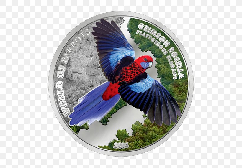 Armed Spiders Silver Coin Crimson Rosella Gold, PNG, 570x570px, Armed Spiders, Beak, Bird, Crimson Rosella, Fauna Download Free