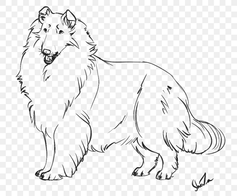 Border Collie Rough Collie English Shepherd Dog Breed Puppy, PNG, 800x678px, Border Collie, Animal, Animal Figure, Artwork, Big Cats Download Free