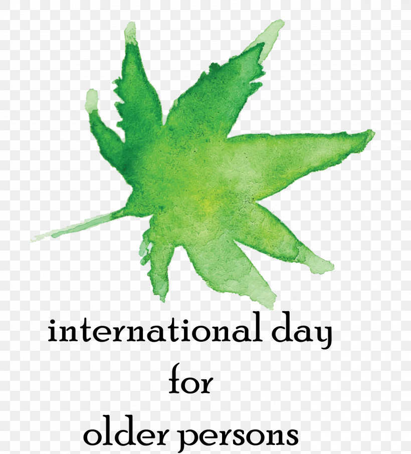 International Day For Older Persons, PNG, 2713x3000px, International Day For Older Persons, Biology, Geometry, Green, Leaf Download Free