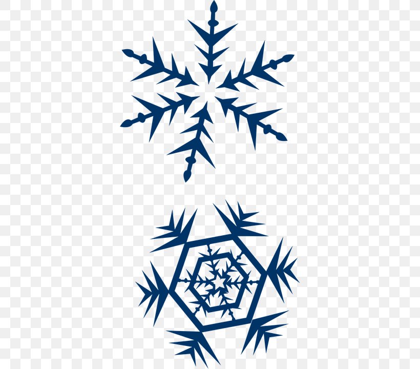 Snowflake Crystal Clip Art, PNG, 360x720px, Snowflake, Black And White, Cold, Crystal, Pixabay Download Free