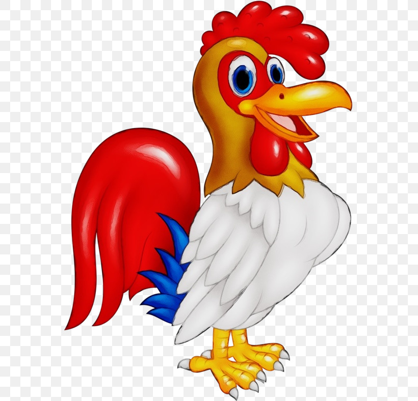 Chicken Bird Rooster Beak Animal Figure, PNG, 567x788px, Watercolor, Animal Figure, Beak, Bird, Chicken Download Free
