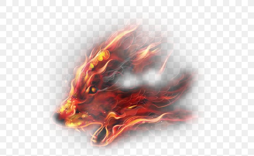 Creative Fire Wolf, PNG, 576x504px, Gray Wolf, Android, Aptoide, Color, Colored Fire Download Free