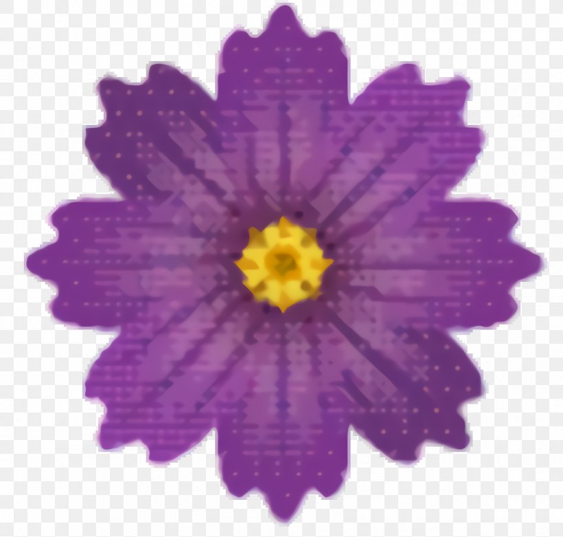 Lavender Flower, PNG, 1696x1616px, Mirror, Aster, Cement Tile, Cleaning, Daisy Family Download Free