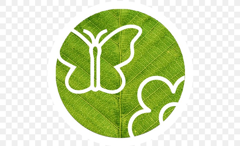 Logo Sculpture Symbol Leaf Font, PNG, 500x500px, Logo, Brand, Circle 7 Logo, Flower, Football Download Free