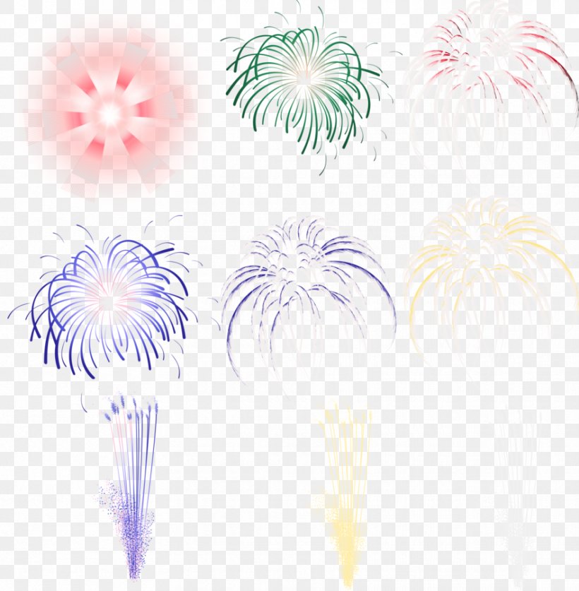 Pyrotechnics Light Fireworks, PNG, 884x903px, Pyrotechnics, Fire, Fireworks, Flower, Flowering Plant Download Free