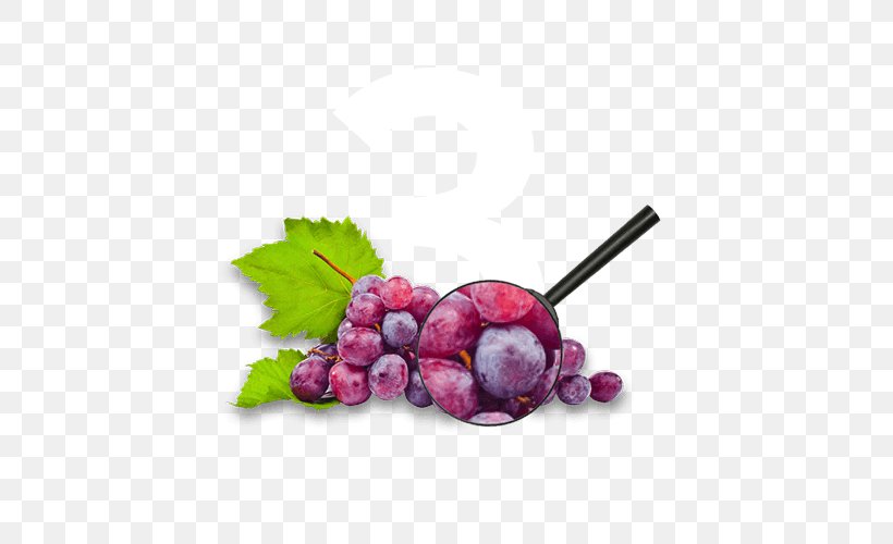 Common Grape Vine Wine Grape Seed Extract Food, PNG, 500x500px, Common Grape Vine, Berry, Food, Fruit, Fruit Wine Download Free