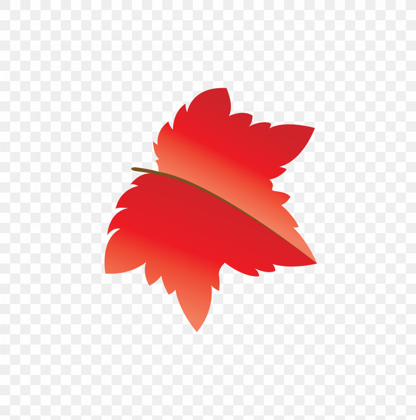 Maple Leaf, PNG, 2964x3000px, Autumn Leaf, Biology, Cartoon Leaf, Fall Leaf, Leaf Download Free