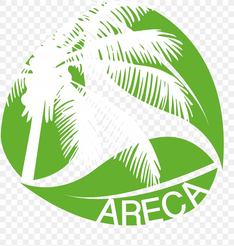 Plastic Areca Palm Areca Nut Arecaceae Logo, PNG, 3471x3655px, Plastic, Area, Areca Nut, Areca Palm, Arecaceae Download Free