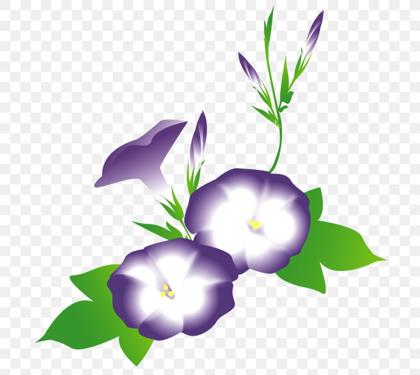 Bellflower Family Herbaceous Plant Family M Invest D.o.o. Plants, PNG, 709x732px, Bellflower Family, Branch, Family M Invest Doo, Flora, Flower Download Free